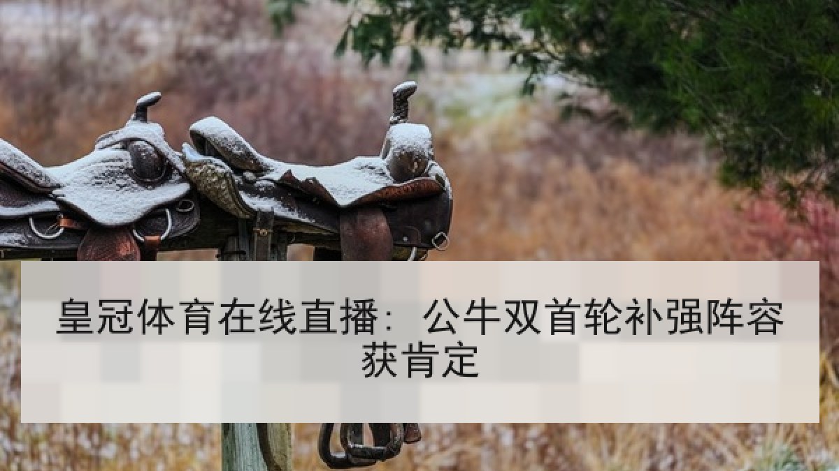 皇冠体育在线直播: 公牛双首轮补强阵容获肯定