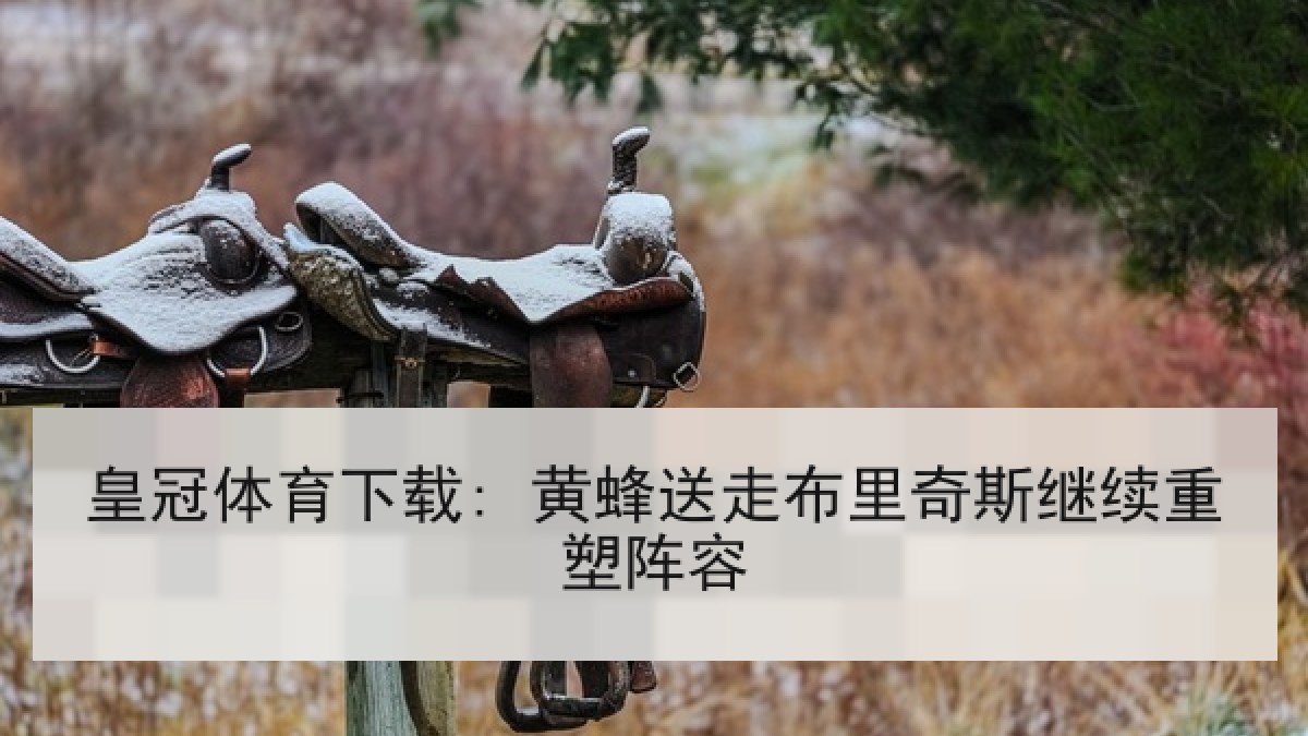 皇冠体育下载: 黄蜂送走布里奇斯继续重塑阵容