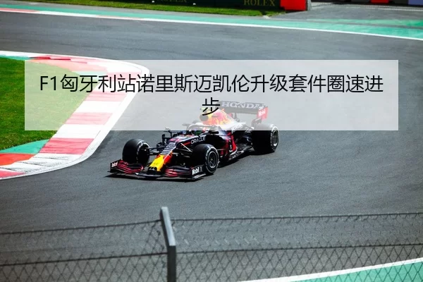 F1匈牙利站诺里斯迈凯伦升级套件圈速进步