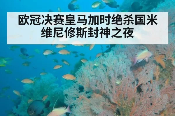 欧冠决赛皇马加时绝杀国米维尼修斯封神之夜