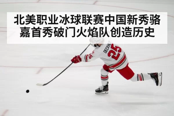 北美职业冰球联赛中国新秀骆嘉首秀破门火焰队创造历史